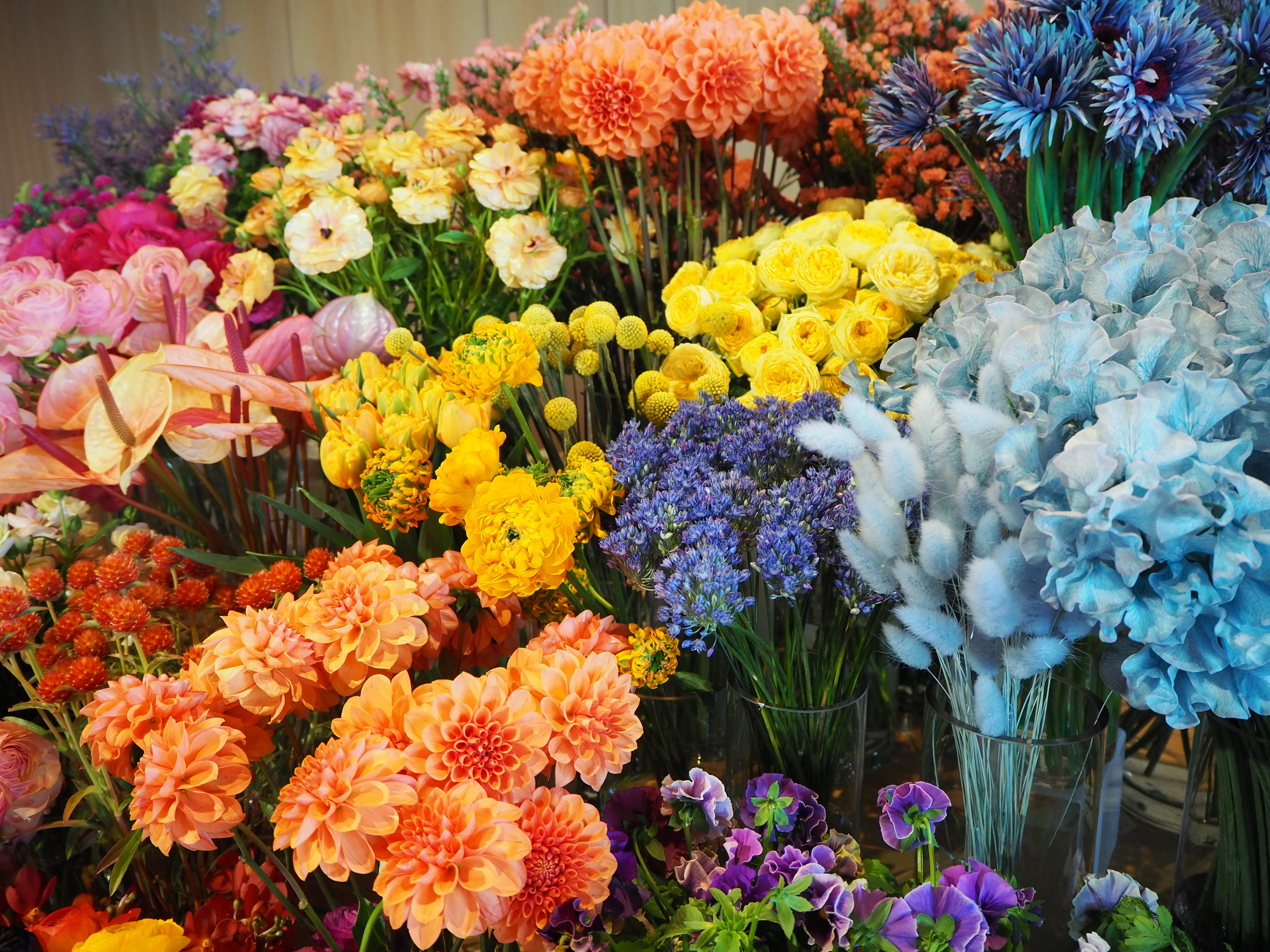 C design開発subscription-test
